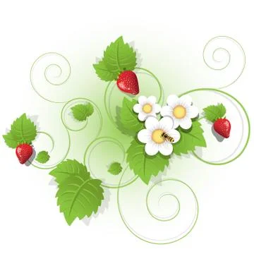 Strawberry Stock Illustration
