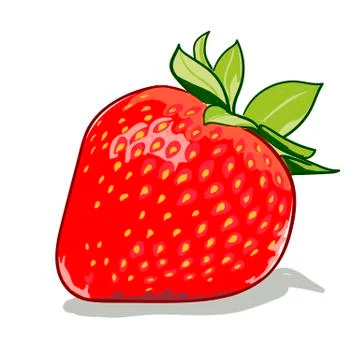 Strawberry Stock Illustration