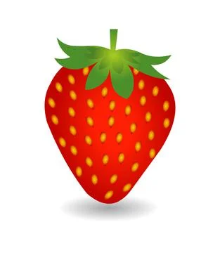 Strawberry Illustration Vector Stock Illustration