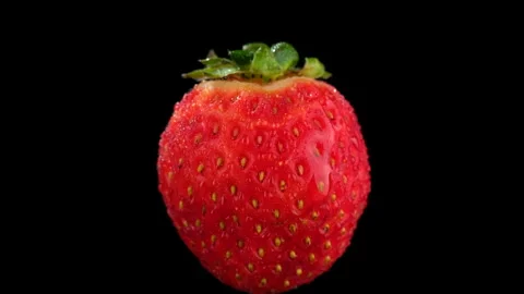 Strawberry isolated on black background, rotation Stock Footage 164577642