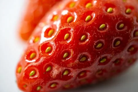 Strawberry isolated on white background. Close-up. Stock Photos