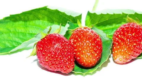 Strawberry isolated on white background Stock Footage 195013824
