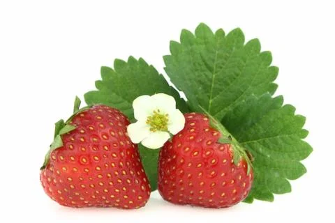 Strawberry isolated on white background Stock Photos