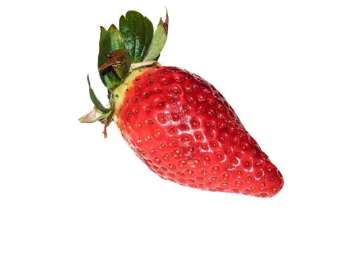 Strawberry isolated on white background Фото