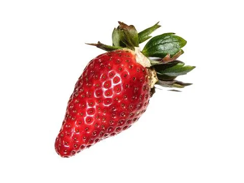 Strawberry isolated on white background 스톡 사진