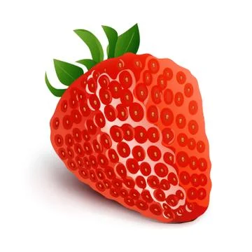 Strawberry isolated on white background-Vector Illustration Stock Illustration