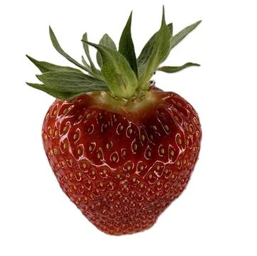 Strawberry Isolated on White Stock Photos