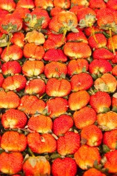 Strawberry with leaf in a basket Stock Photos