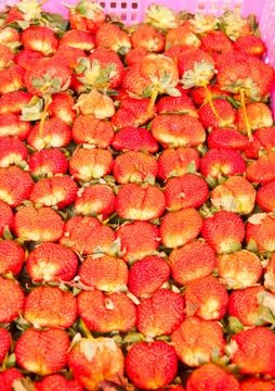 Strawberry with leaf in a basket Stock Photos