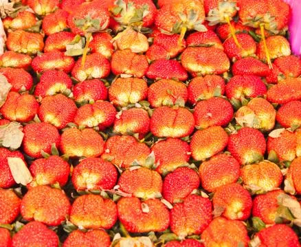 Strawberry with leaf in a basket Stock Photos