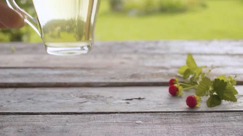 Strawberry leaf tisane Stock Footage 137800666