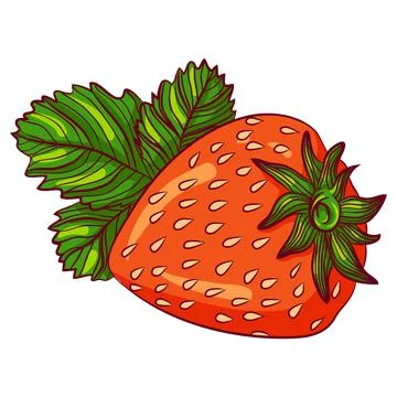 Strawberry with leaves Stock Illustration