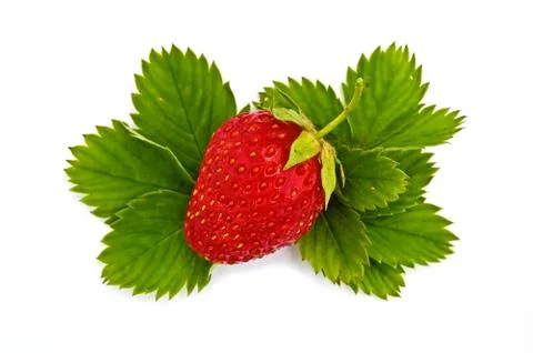 Strawberry on the leaves Stock Photos