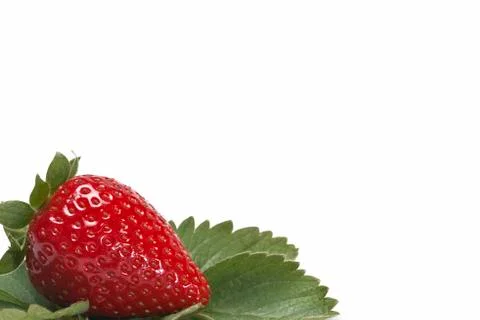 Strawberry on the left. Stock Photos