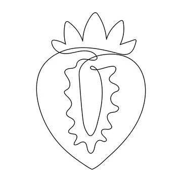 Strawberry line drawing. Illustrazione stock