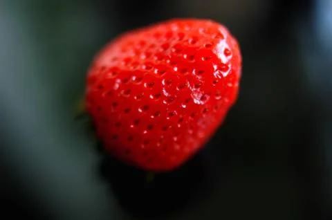 Strawberry macro Stock Photos