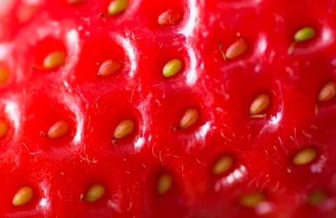Strawberry macro Stock Photos