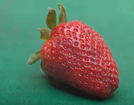 Strawberry macro Stock Photos