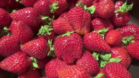 Strawberry in a metal container on a table Stock-Footage 90371986