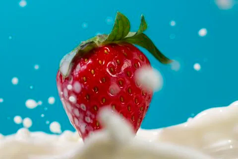 Strawberry with milk splash Stock Photos