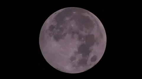 Strawberry Moon, Handheld Shooting Video stock 237154380