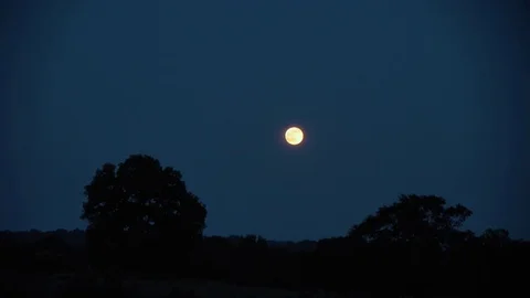 Strawberry Moon of June in Kentucky Stock Footage 78024282