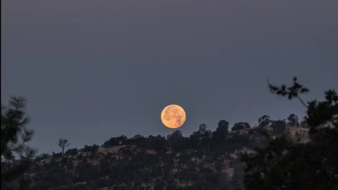 Strawberry Moon Setting in California. Stock Footage 278080737