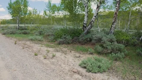Strawberry Offroading 04 Stock Footage 311325932
