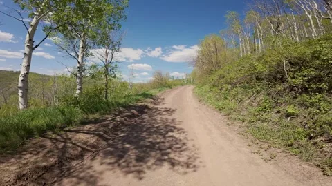 Strawberry Offroading 13 Stock Footage 311325894
