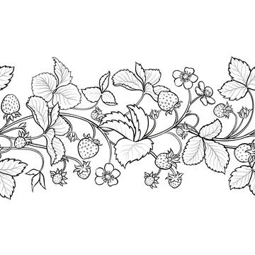 Strawberry Outline Horizontal Seamless Pattern. Stock Illustration