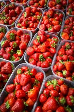 Strawberry pack Stock Photos