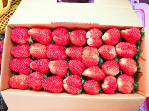 Strawberry in paper box Stock Photos