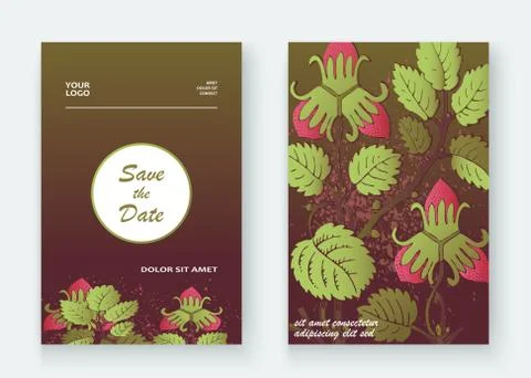 Strawberry pattern design templates product. Hand drawn red berr Stock Illustration