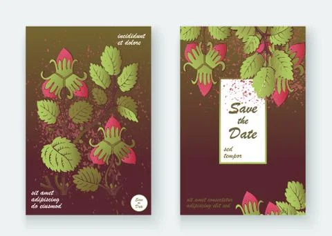 Strawberry pattern design templates product. Hand drawn red berr Stock Illustration
