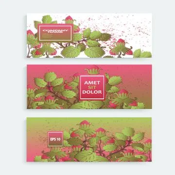 Strawberry pattern design templates product. Hand drawn red berry. Cute trend Stock Illustration