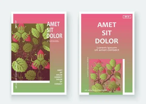 Strawberry pattern design templates product. Hand drawn red berry. Cute trend Stock Illustration