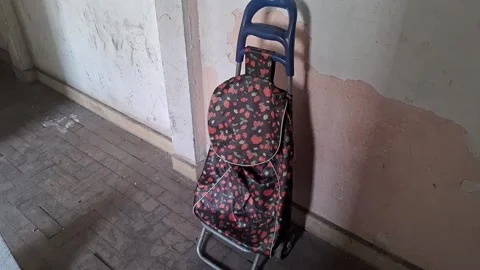 Strawberry patterned shopping trolley standing in empty hallway motion video Stock Footage 339349223