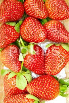 Strawberry Stock Photos