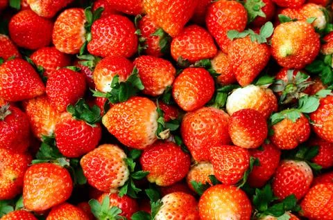 Strawberry Foto stock