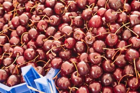 Strawberry Stock Photos