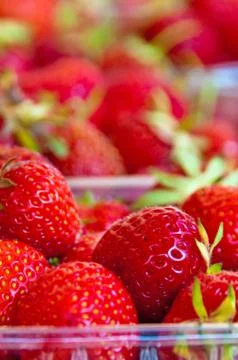 Strawberry Stock Photos