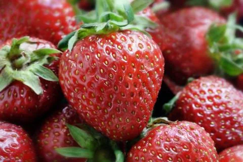 Strawberry Stock Photos