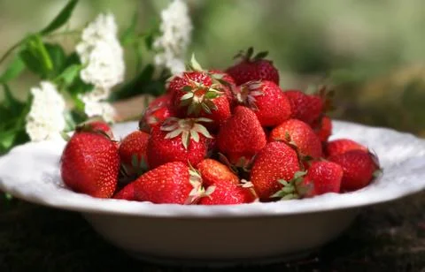 Strawberry Stock Photos