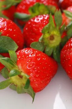 Strawberry Foto stock