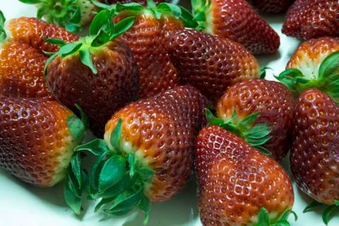 Strawberry Stock-Fotos