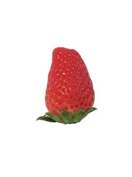 Strawberry Photos