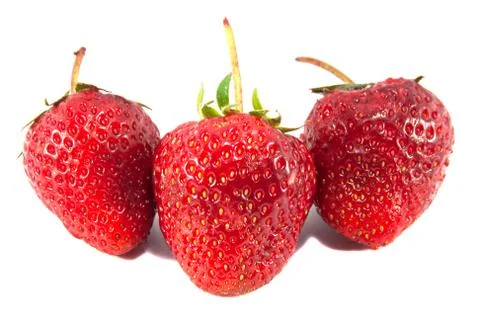 Strawberry Foto stock