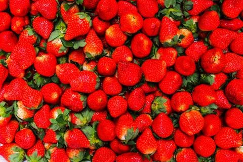 Strawberry Stock Photos