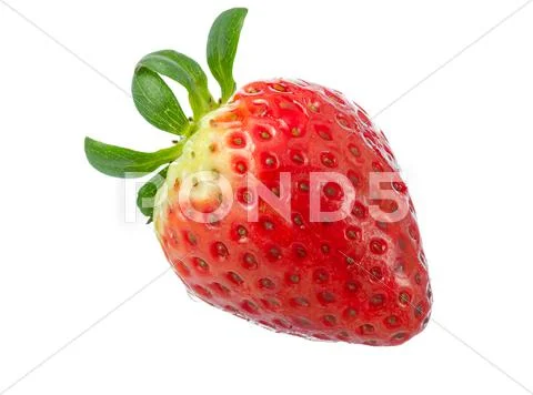 Strawberry. Stock Photos