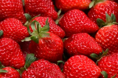 Strawberry Fotos de archivo